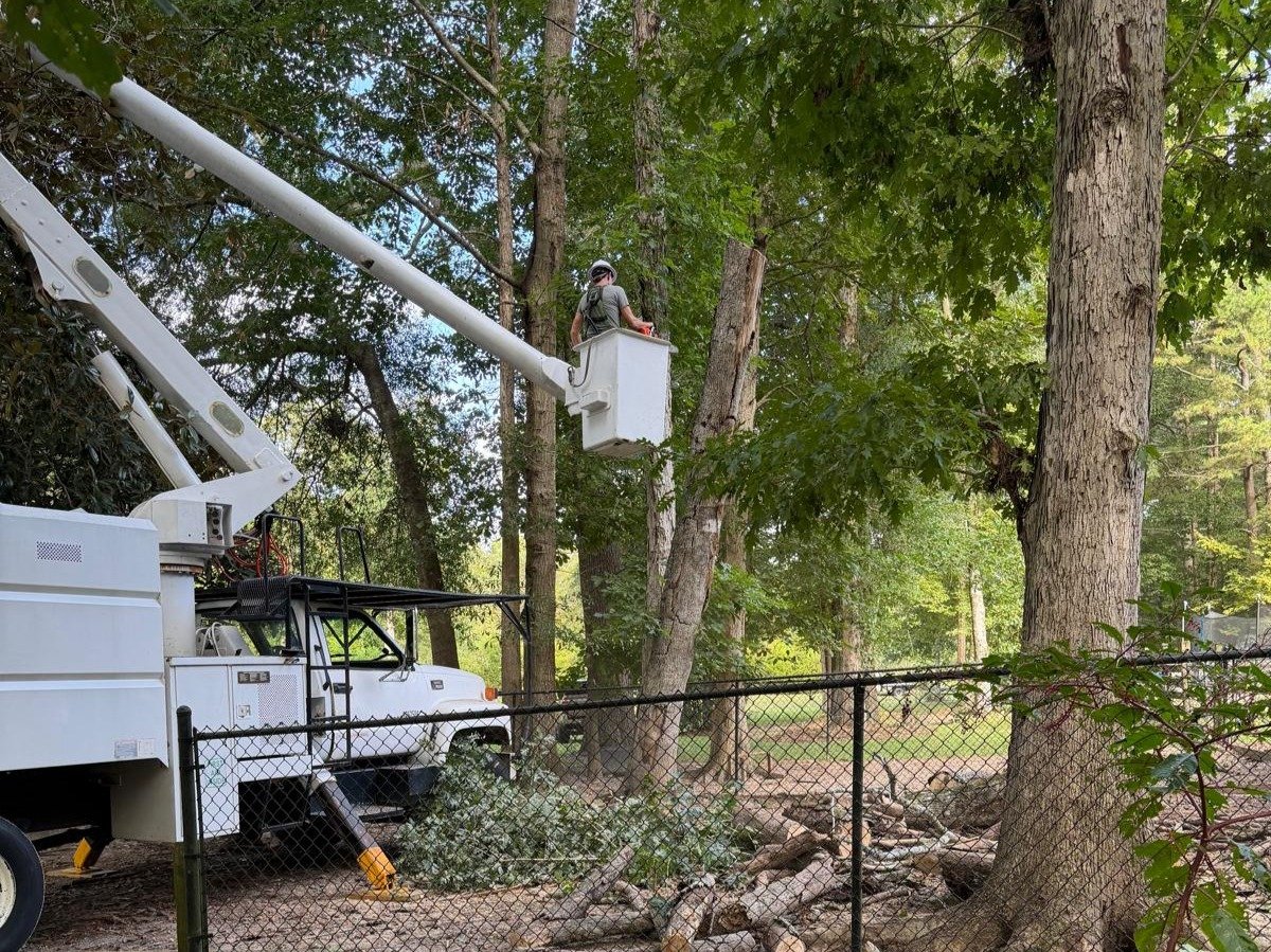 El Costeño Tree Service LLC